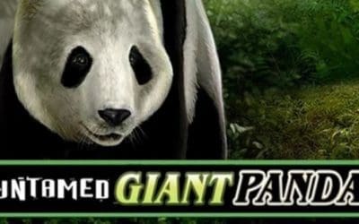 Play Untamed Giant Panda and Vinyl Countdown Slots Free with Wild Features, Free Spins, and Big Win Potential